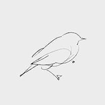 Martin Grasser Design