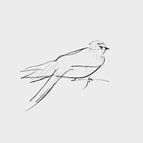 Martin Grasser Design