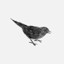 Martin Grasser Design