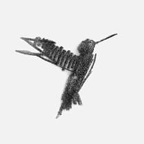 Martin Grasser Design