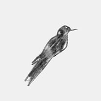 Martin Grasser Design