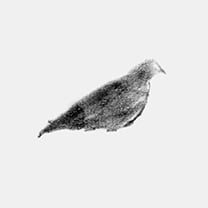 Martin Grasser Design