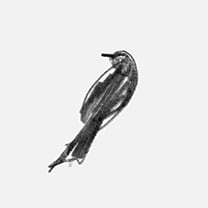 Martin Grasser Design