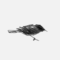 Martin Grasser Design