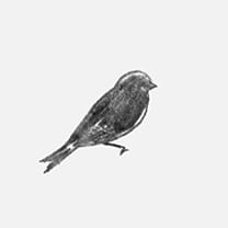 Martin Grasser Design