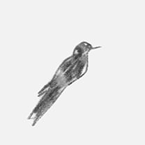 Martin Grasser Design