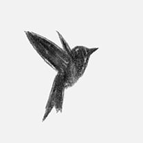 Martin Grasser Design