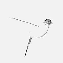 Martin Grasser Design