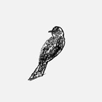 Martin Grasser Design