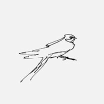 Martin Grasser Design