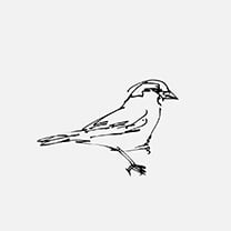 Martin Grasser Design