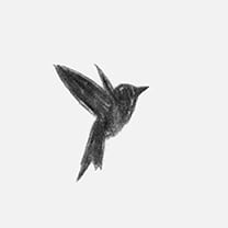 Martin Grasser Design