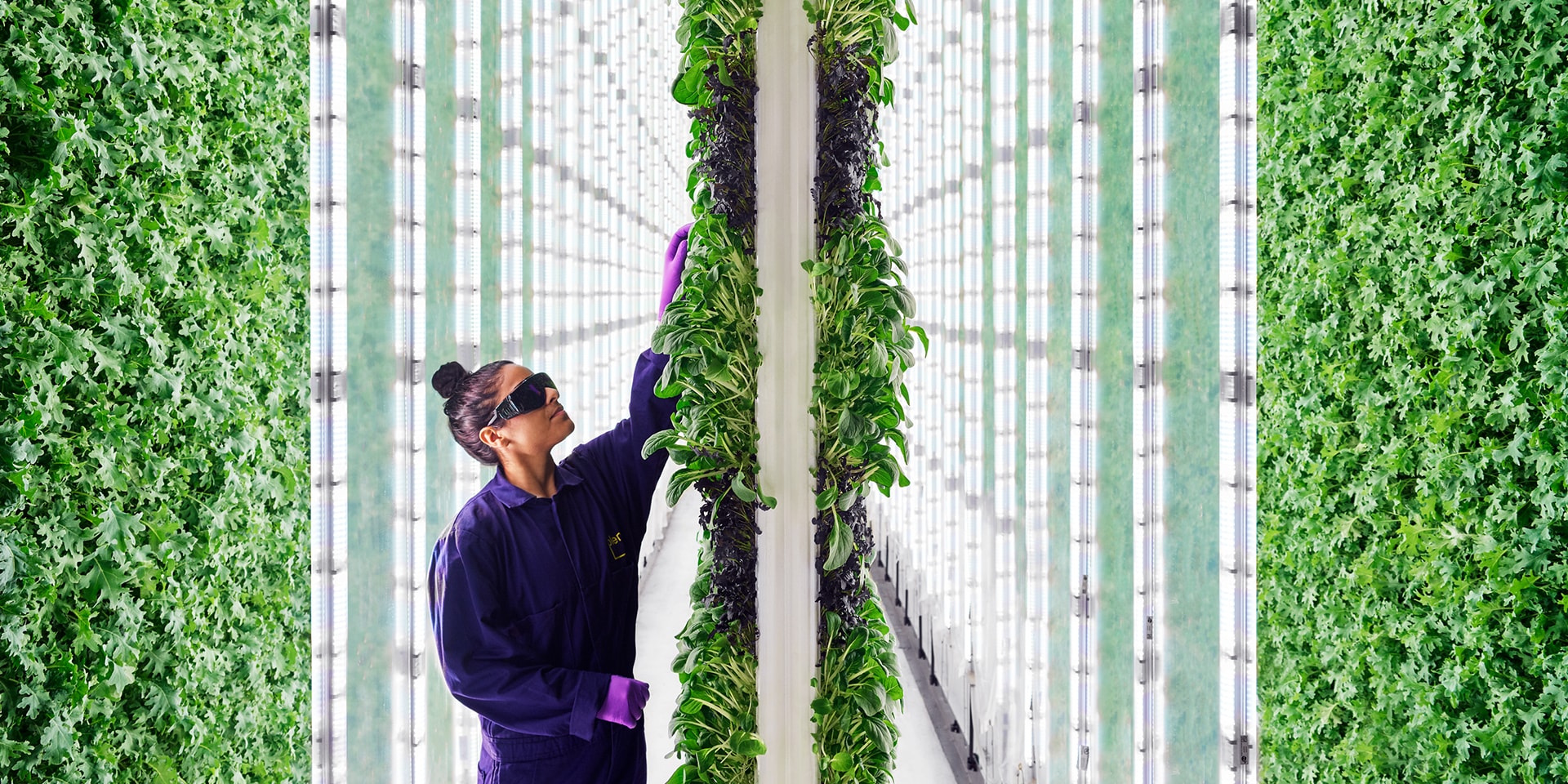 Martin Grasser Design